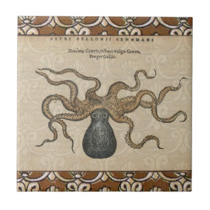 Octopus Kraken Vintage Illustration Ceramic Tile