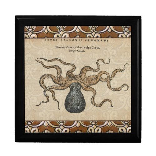 Octopus Kraken Vintage Illustration Jewelry Box