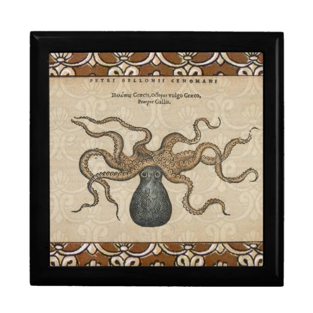 Octopus Kraken Vintage Illustration Jewelry Box (Front)