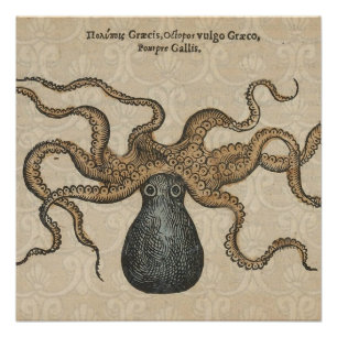 Octopus Kraken Vintage Illustration Poster