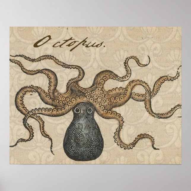 Octopus Kraken Vintage Illustration Poster (Front)
