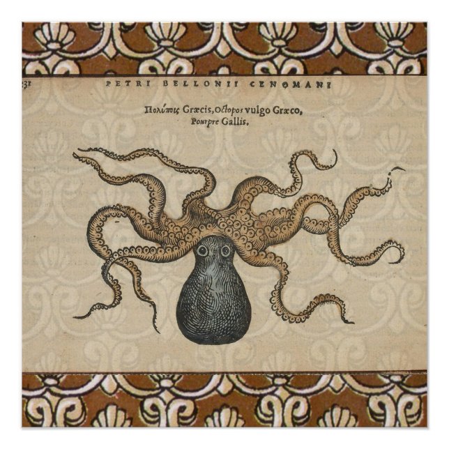 Octopus Kraken Vintage Illustration Poster (Front)