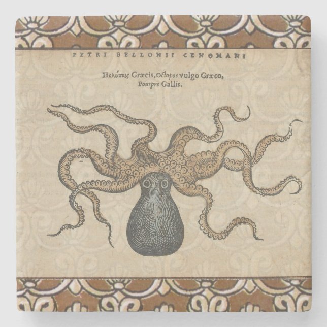 Octopus Kraken Vintage Illustration Stone Coaster (Front)