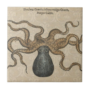 Octopus Kraken Vintage Illustration Tile