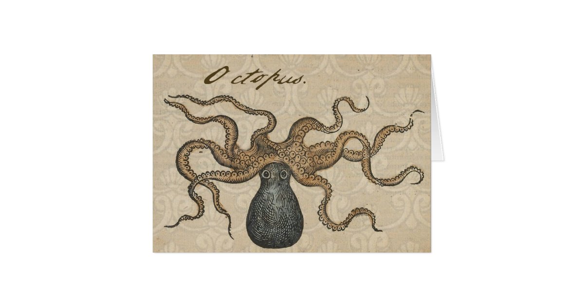 Octopus Kraken Vintage Scientific Illustration Zazzle Com