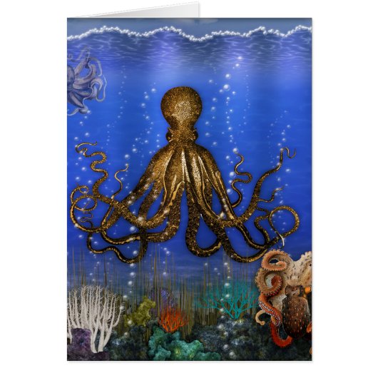 Octopus' Lair - Colorful Cards (Front)