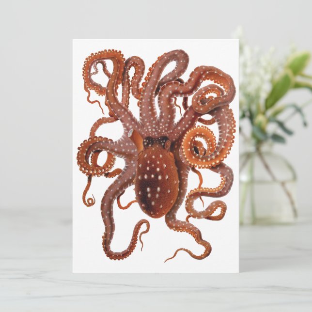 Octopus Macropus, Vintage Marine Aquatic Animals (Standing Front)