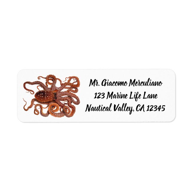 Octopus Macropus, Vintage Marine Aquatic Animals Label (Front)