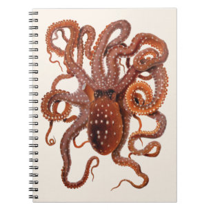 Octopus Macropus, Vintage Marine Aquatic Animals Notebook