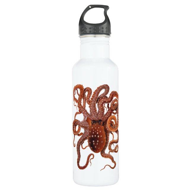 Octopus Macropus, Vintage Marine Aquatic Animals Water Bottle (Front)