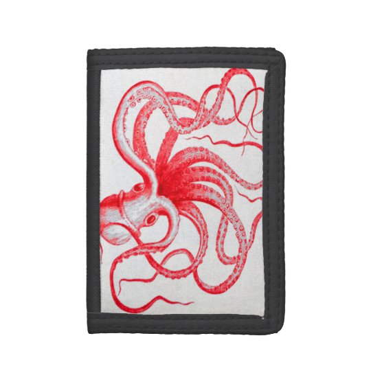 Kraken Wallet Kraken Wallet