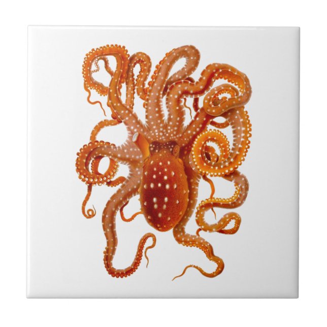 Octopus No.6 Cephalopod Sea Creature Art Ceramic Tile (Front)
