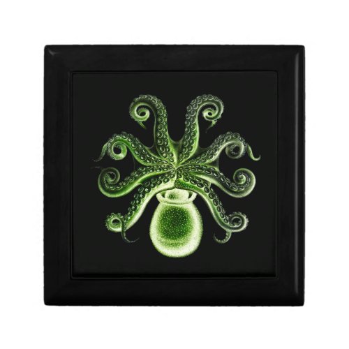 Octopus One _ Green Gift Box