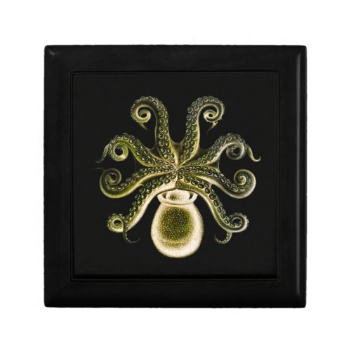 Octopus One _ Yellow  Gift Box