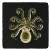 Steampunk Gears Octopus Kraken Custom Trivet