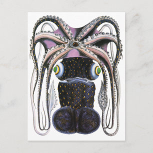 Octopus or Giant Squid, Vintage Marine Life Animal Postcard