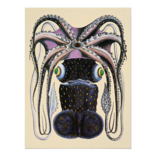 Octopus or Giant Squid, Vintage Marine Life Animal Poster