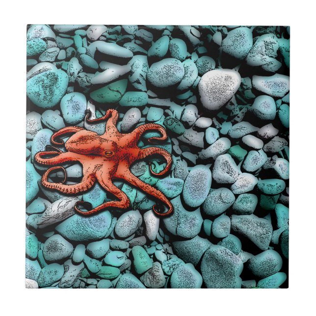 Octopus Pebbles Tile (Front)