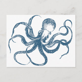 octopus postcard