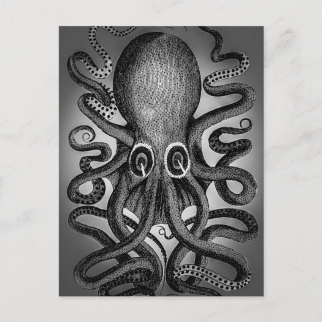 Octopus postcard (Front)