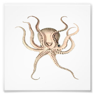 Octopus Sea, Beach, Nautical Bathroom Photo Print