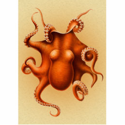 Octopus Sea Monster Creature Cephalapod Vintage Cutout