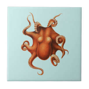 OCTOPUS SEALIFE CERAMIC TILE