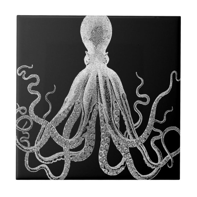 octopus sketch ceramic tile (Front)