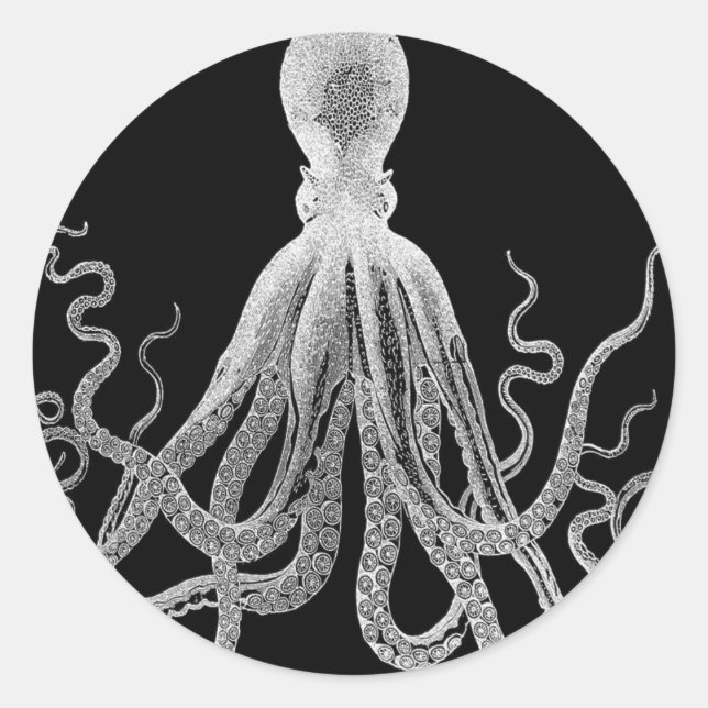 octopus sketch classic round sticker (Front)