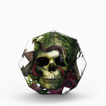 Octopus Skull Grunge Award<br><div class="desc">A design of a sunken skull in the depths</div>