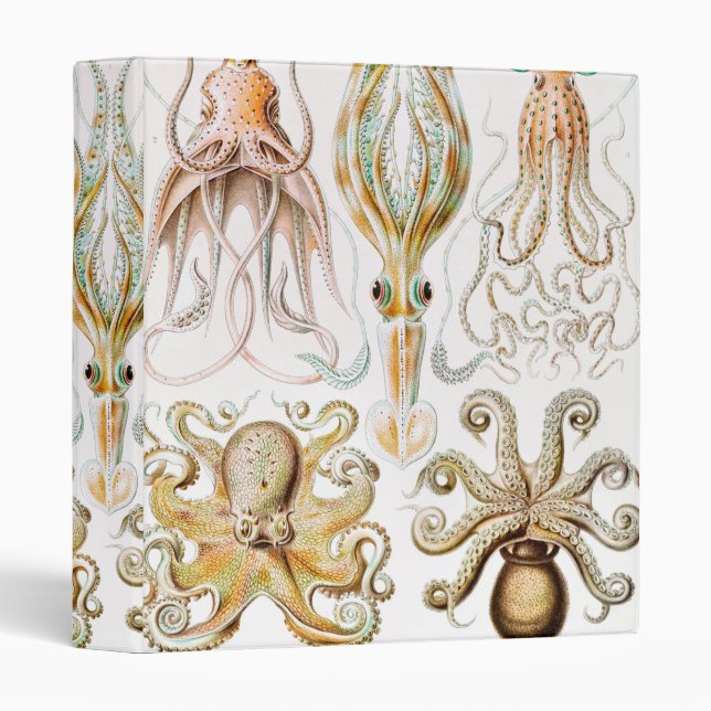 Octopus Squid, Gamochonia by Ernst Haeckel 3 Ring Binder (Front/Spine)