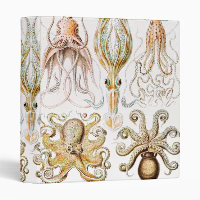 Octopus Squid, Gamochonia By Ernst Haeckel 3 Ring Binder 