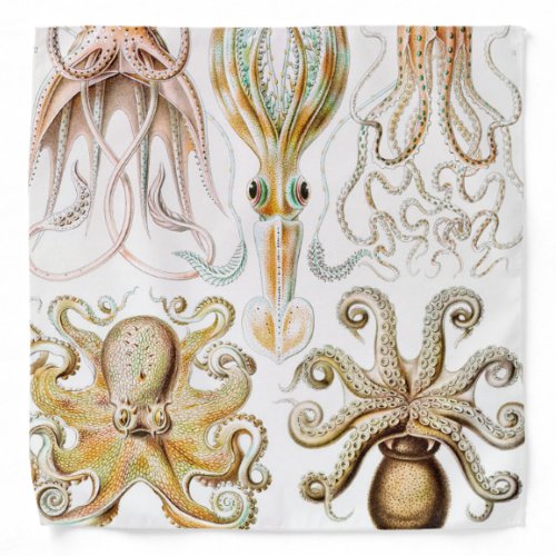 Octopus Squid, Gamochonia by Ernst Haeckel Bandana