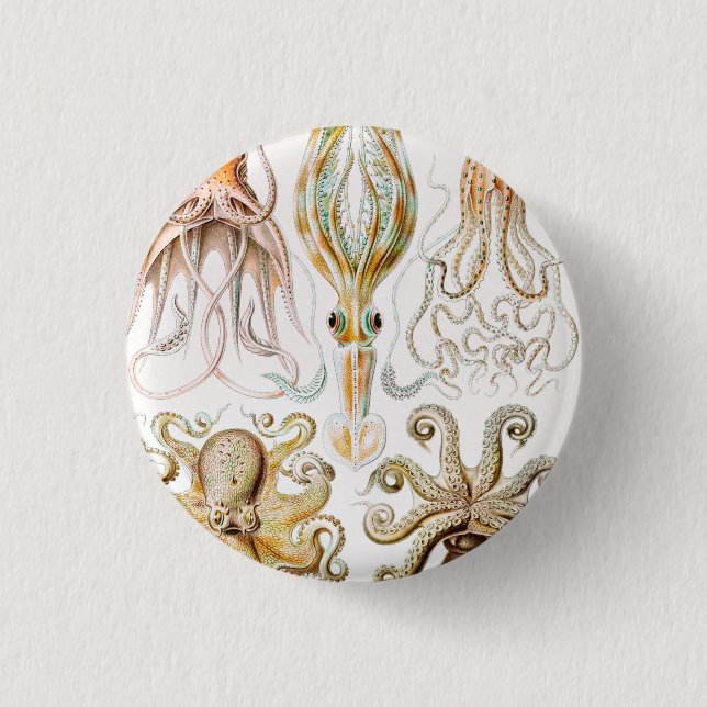 Octopus Squid, Gamochonia by Ernst Haeckel Button (Front)