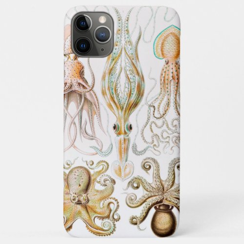 Octopus Squid Gamochonia by Ernst Haeckel iPhone 11 Pro Max Case