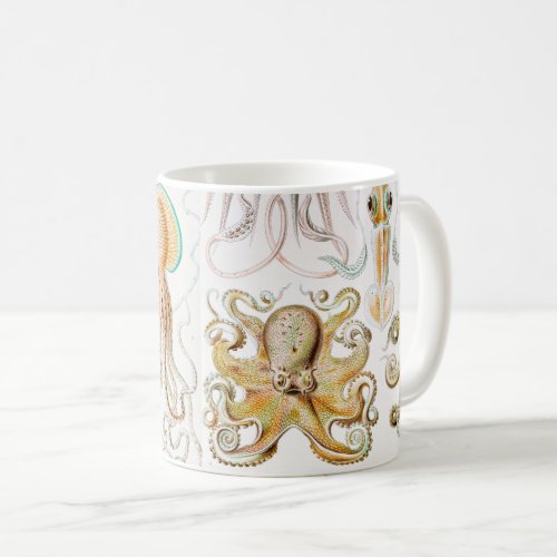 Octopus Squid Gamochonia by Ernst Haeckel Coffee Mug