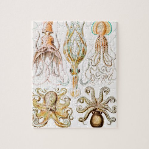 Octopus Squid Gamochonia by Ernst Haeckel Jigsaw Puzzle