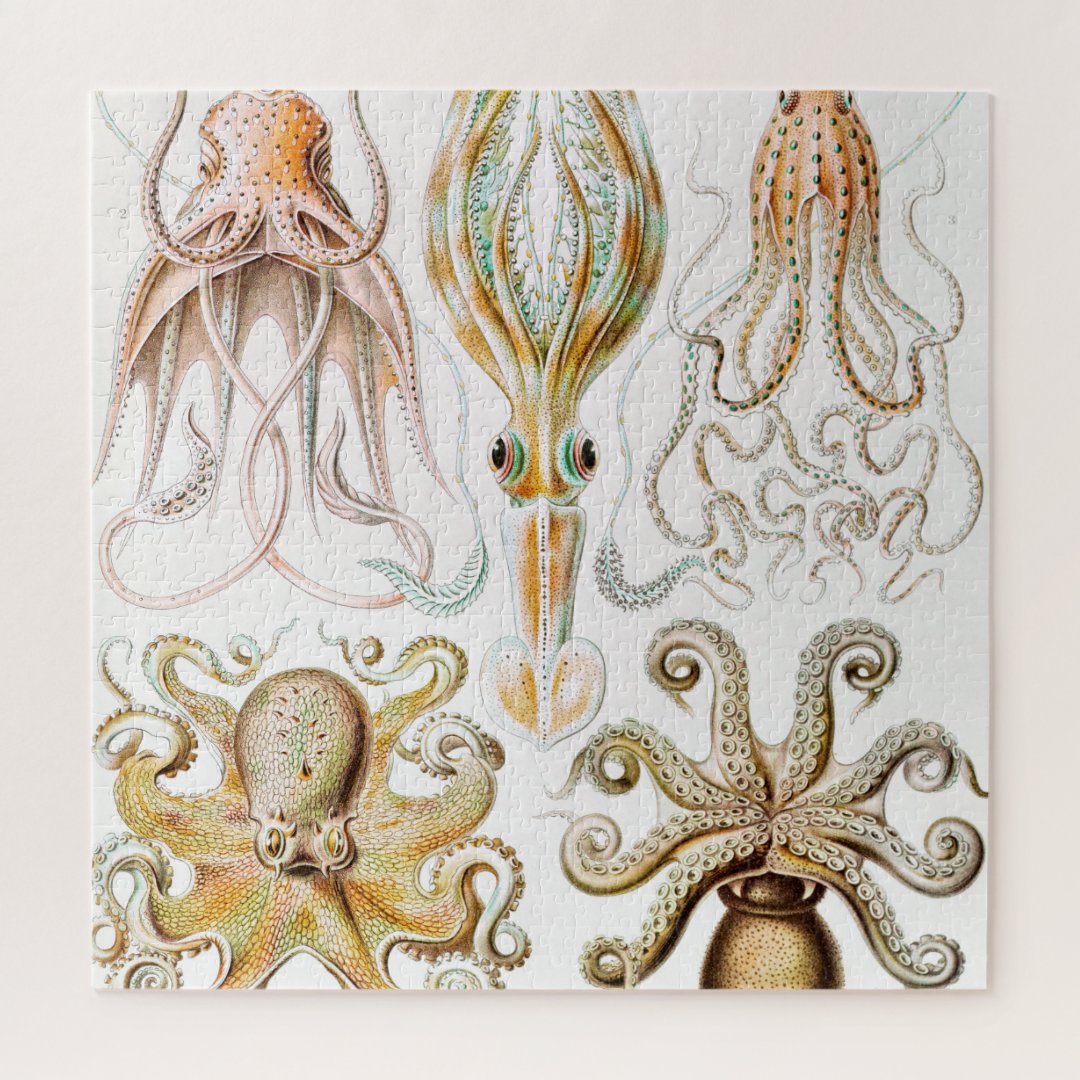 Octopus Squid, Gamochonia by Ernst Haeckel Jigsaw Puzzle | Zazzle