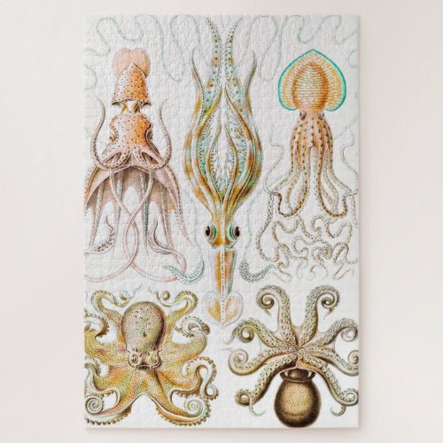 Octopus Squid Gamochonia by Ernst Haeckel Jigsaw Puzzle