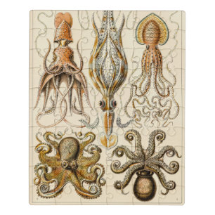 Octopus Squid Gamochonia by Ernst Haeckel Jigsaw Puzzle