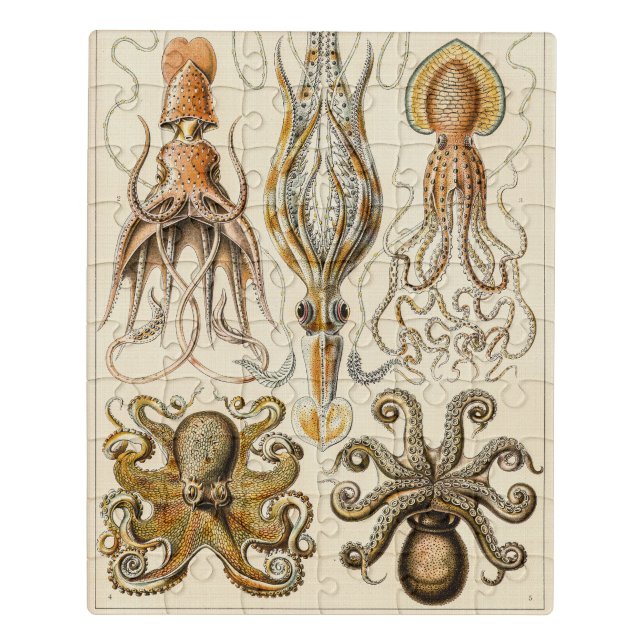 Octopus Squid Gamochonia by Ernst Haeckel Jigsaw Puzzle (Puzzle Vertical)