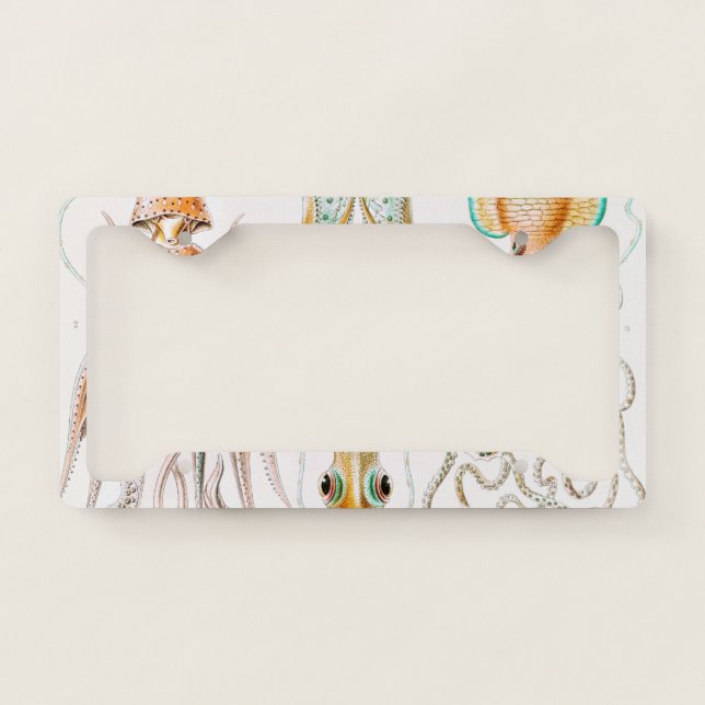 Octopus Squid, Gamochonia by Ernst Haeckel License Plate Frame (Front)