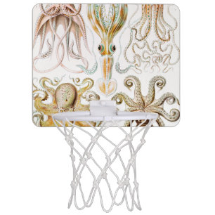 Octopus Squid, Gamochonia by Ernst Haeckel Mini Basketball Hoop