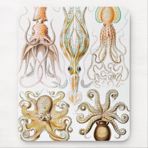 Octopus Squid Gamochonia by Ernst Haeckel Mouse Pad
