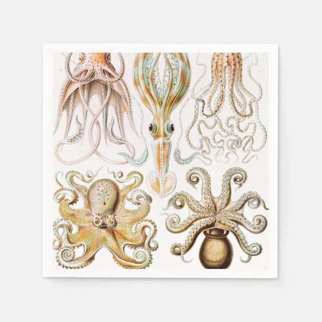 Octopus Squid, Gamochonia by Ernst Haeckel Napkins (Front)