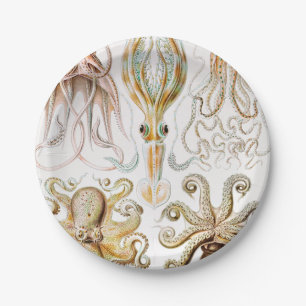 Octopus Squid, Gamochonia by Ernst Haeckel Paper Plates