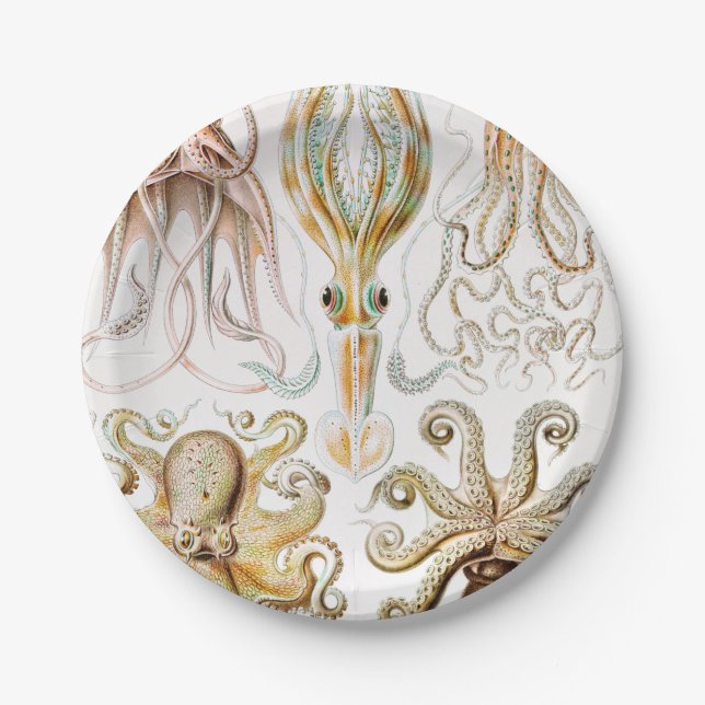 Octopus Squid, Gamochonia by Ernst Haeckel Paper Plates (Front)