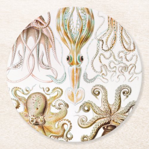 Octopus Squid Gamochonia by Ernst Haeckel Round Paper Coaster