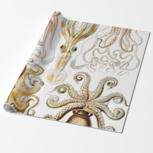 Octopus Squid, Gamochonia by Ernst Haeckel Wrapping Paper
