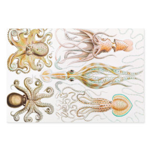 Octopus Squid, Gamochonia by Ernst Haeckel Wrapping Paper Sheets